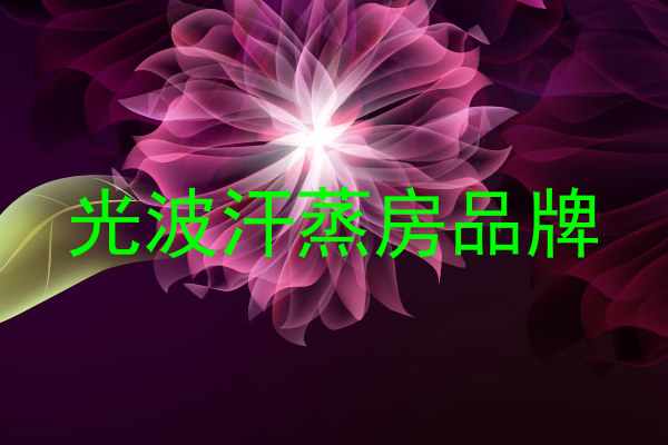 光波汗蒸房品牌