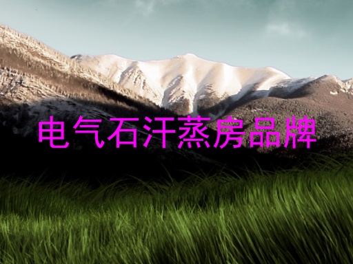 电气石汗蒸房品牌