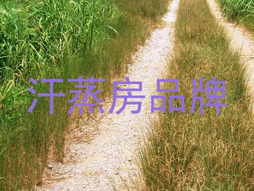 汗蒸房品牌