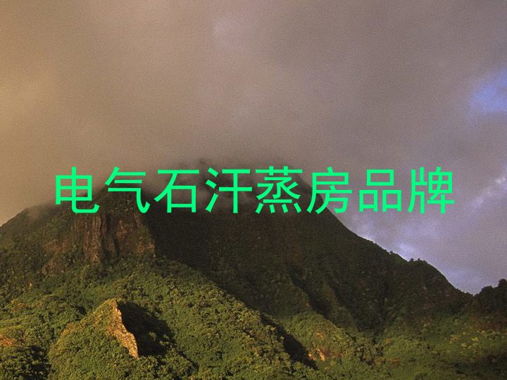 电气石汗蒸房品牌