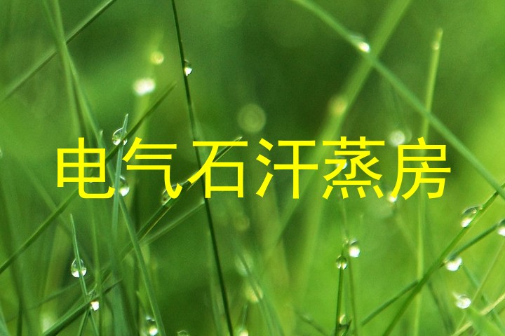 电气石汗蒸房