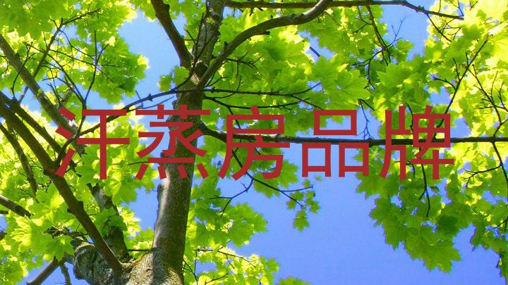 汗蒸房品牌