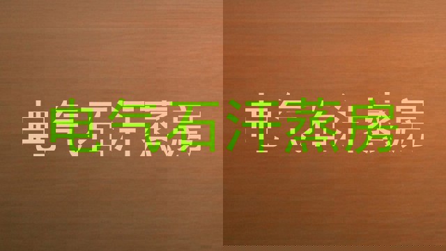 电气石汗蒸房
