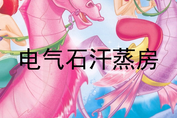 电气石汗蒸房