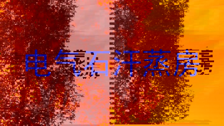 电气石汗蒸房
