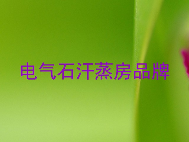 电气石汗蒸房品牌
