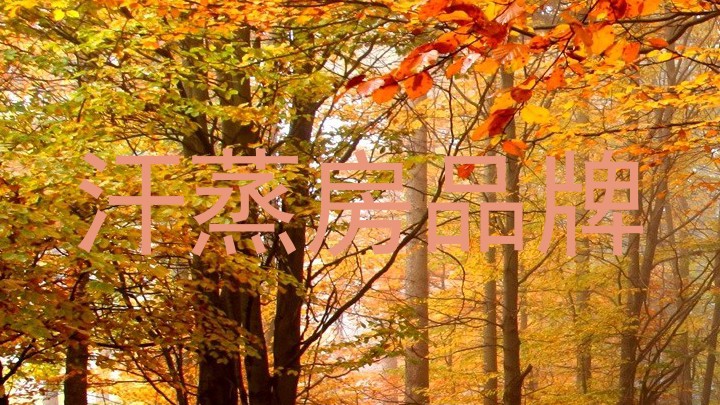 汗蒸房品牌