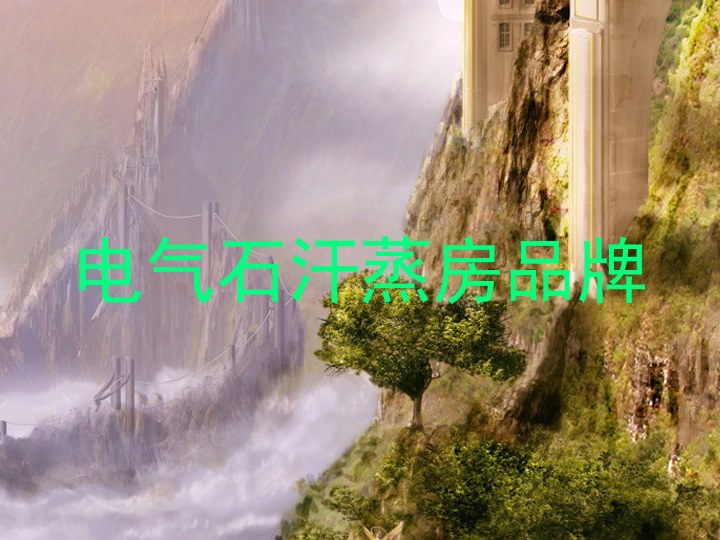 电气石汗蒸房品牌