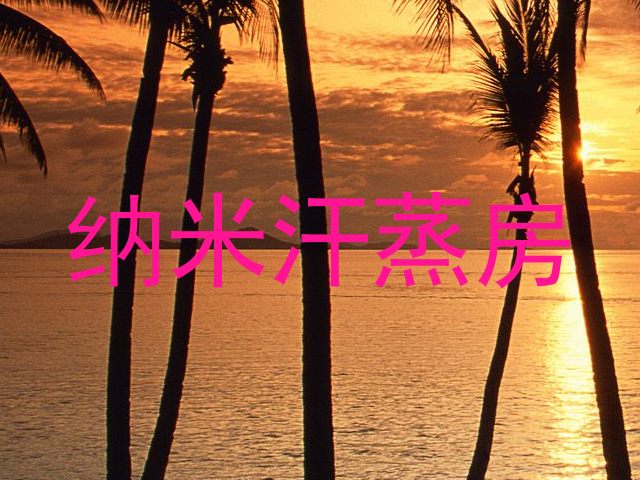 纳米汗蒸房