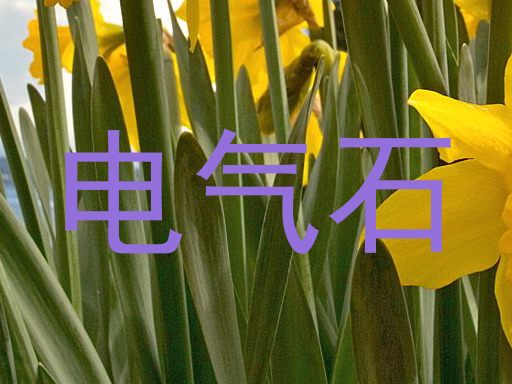 电气石