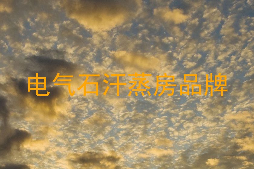 电气石汗蒸房品牌