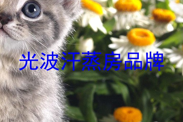 光波汗蒸房品牌