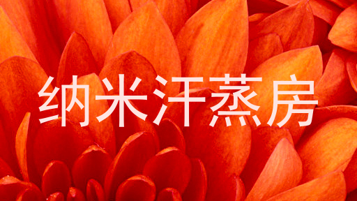 纳米汗蒸房