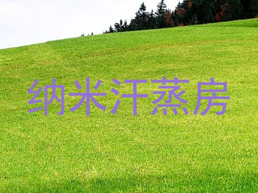 纳米汗蒸房