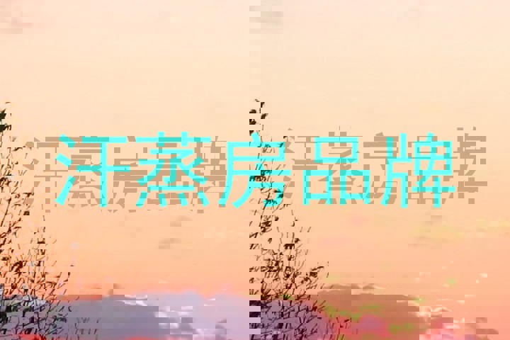 汗蒸房品牌