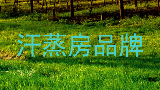 汗蒸房品牌