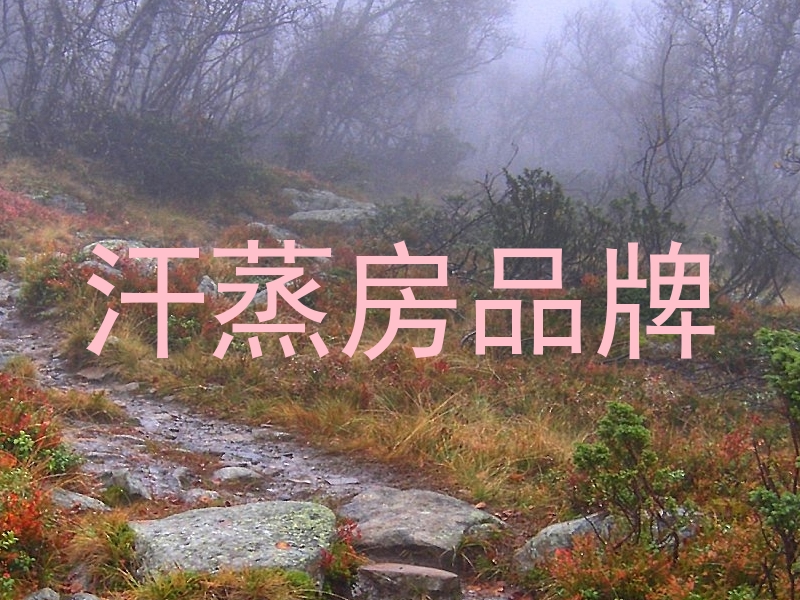 汗蒸房品牌