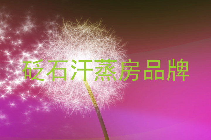 砭石汗蒸房品牌