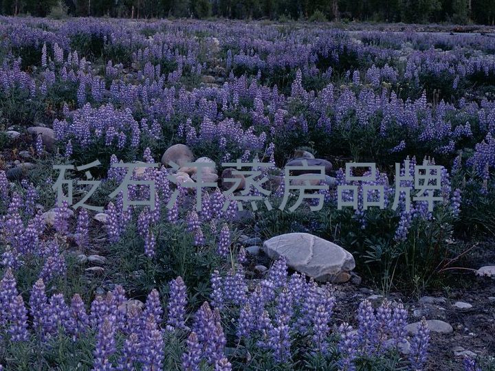 砭石汗蒸房品牌