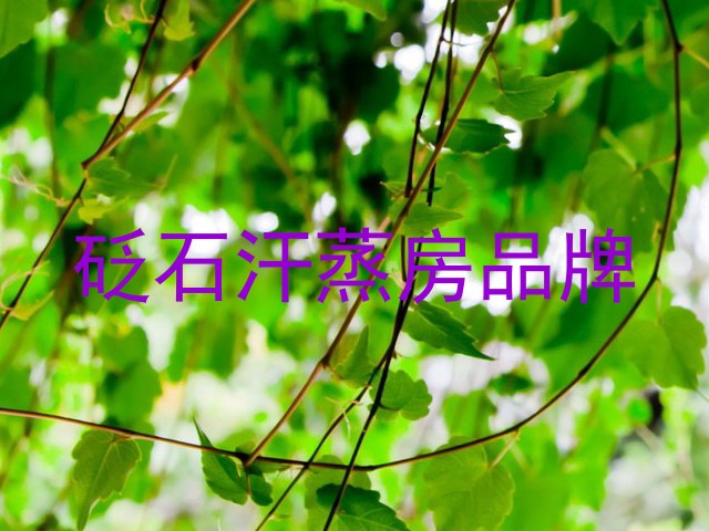 砭石汗蒸房品牌