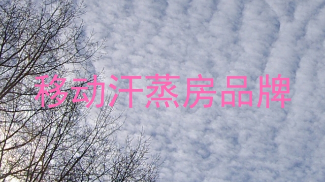 移动汗蒸房品牌
