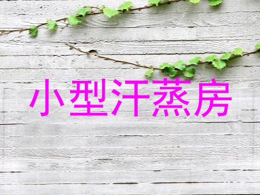 小型汗蒸房