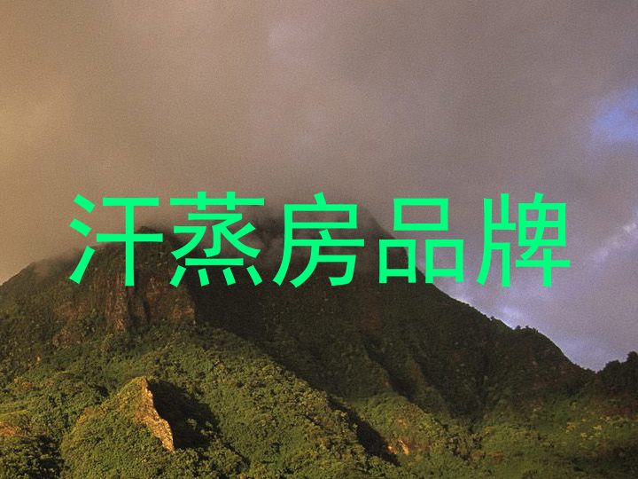 汗蒸房品牌