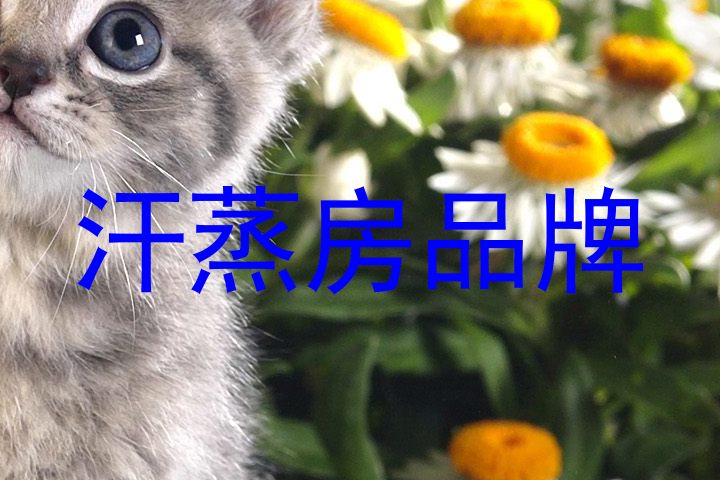 汗蒸房品牌
