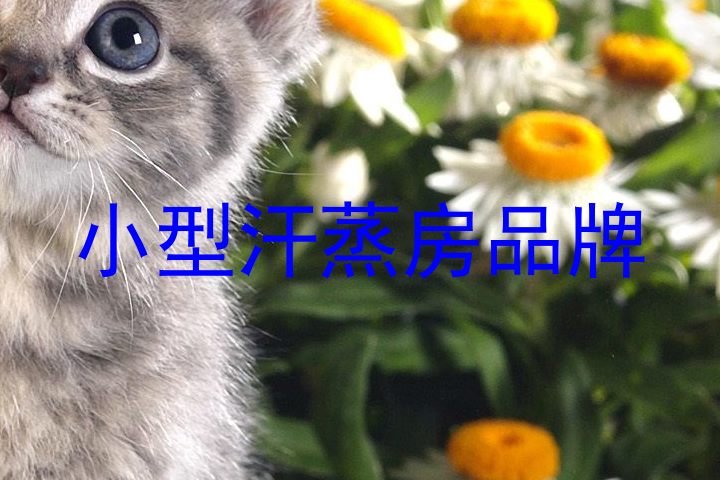 小型汗蒸房品牌