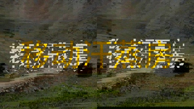 移动汗蒸房