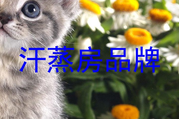汗蒸房品牌