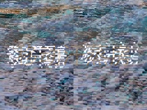 移动汗蒸房
