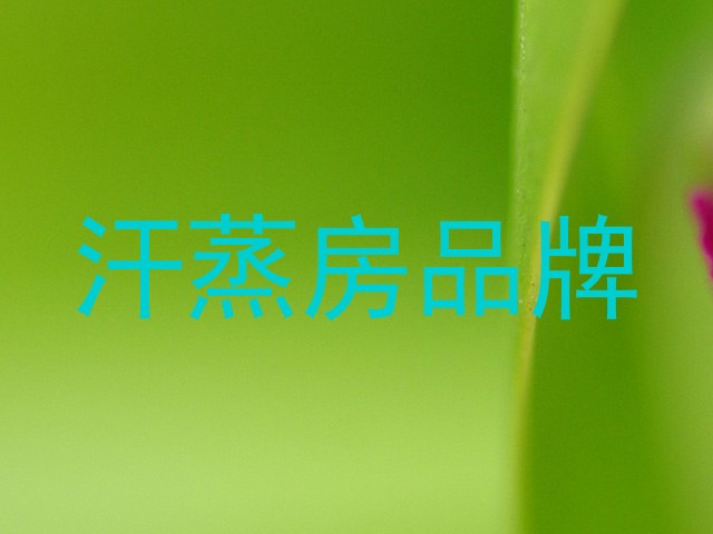 汗蒸房品牌