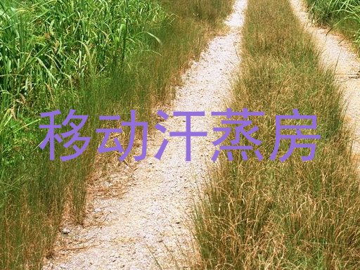 移动汗蒸房