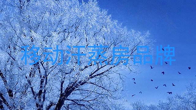 移动汗蒸房品牌