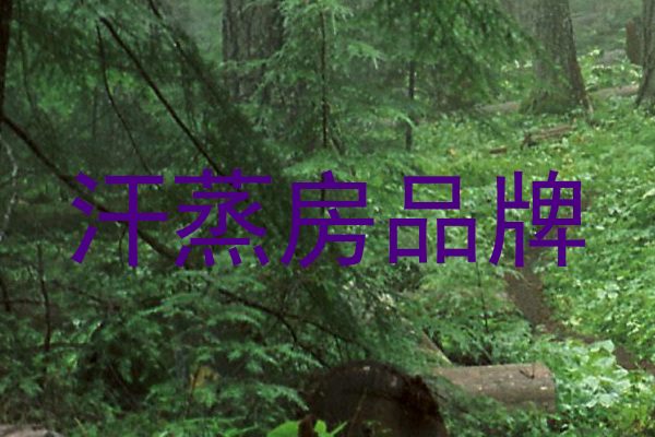 汗蒸房品牌