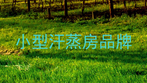 小型汗蒸房品牌