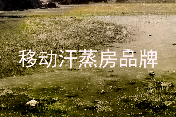 移动汗蒸房品牌