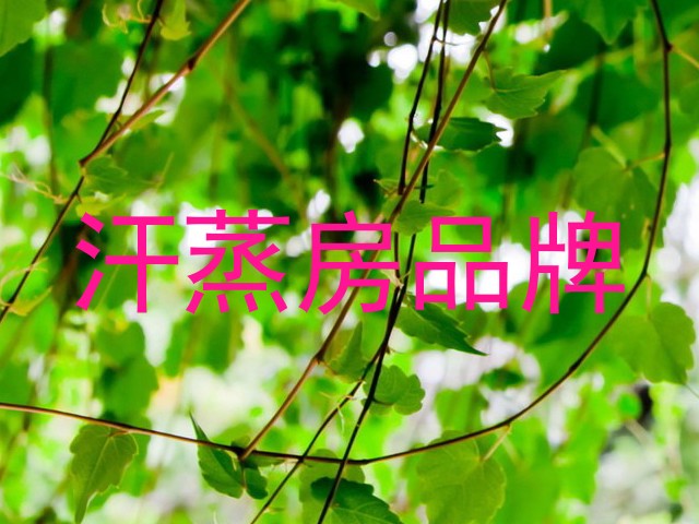 汗蒸房品牌