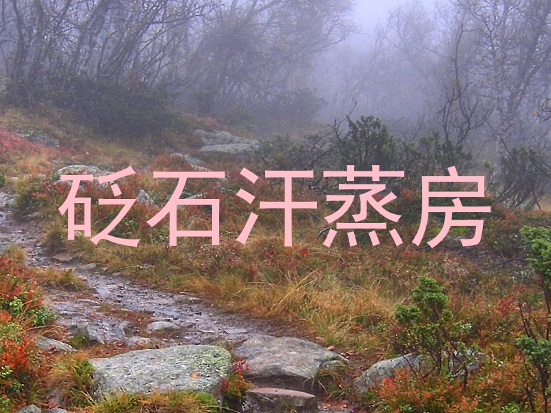 砭石汗蒸房