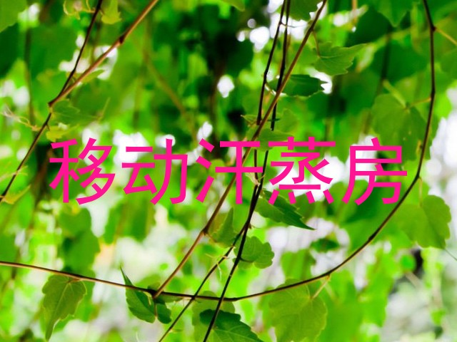 移动汗蒸房