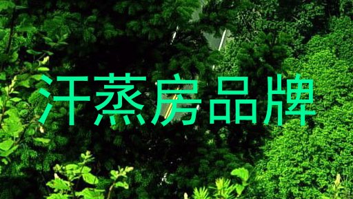 汗蒸房品牌