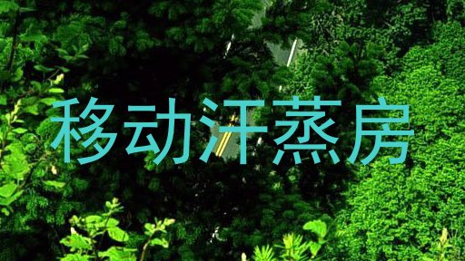 移动汗蒸房