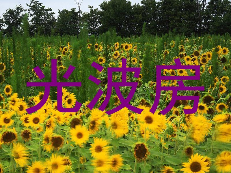 光波房