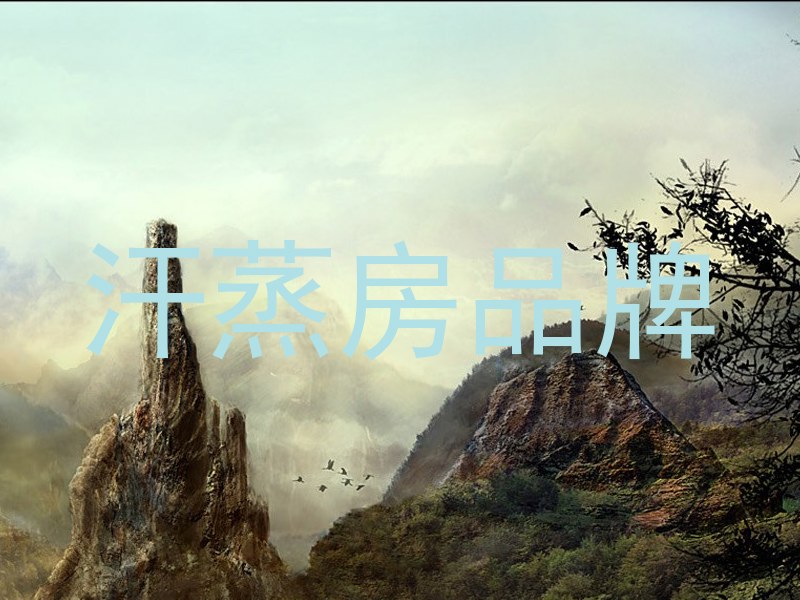 汗蒸房品牌