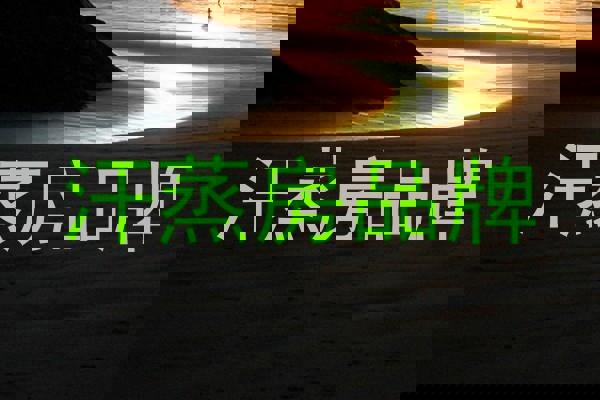 汗蒸房品牌