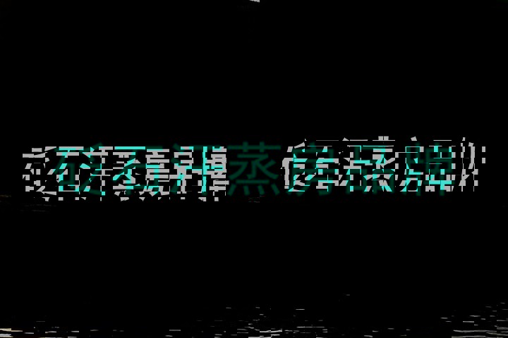 砭石汗蒸房品牌