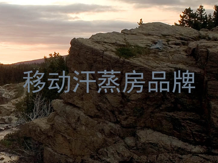 移动汗蒸房品牌
