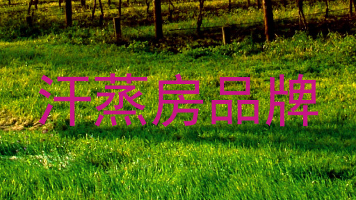 汗蒸房品牌