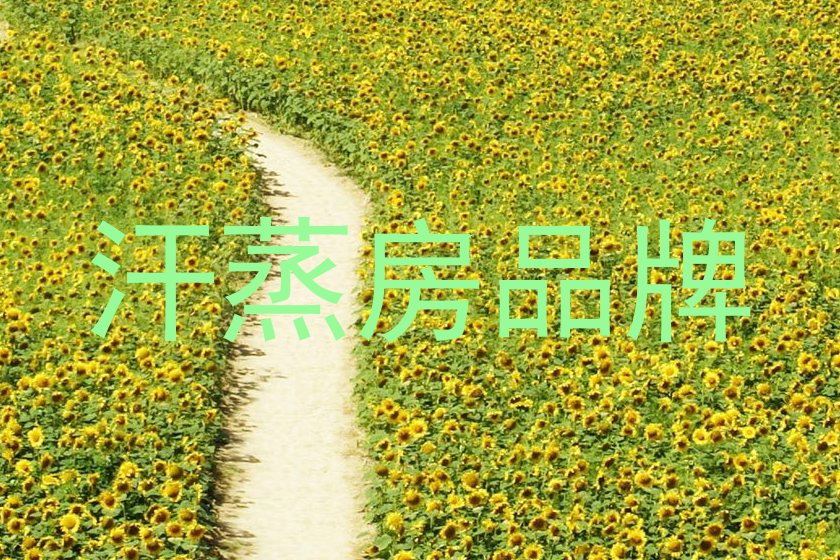 汗蒸房品牌